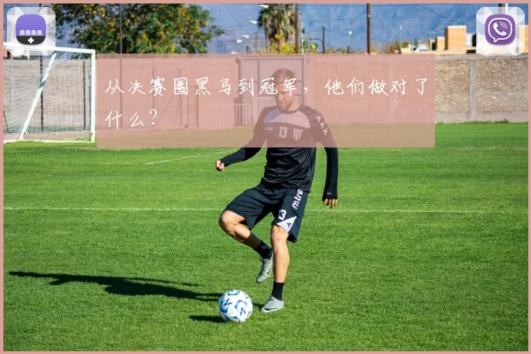 从决赛圈黑马到冠军，他们做对了什么？